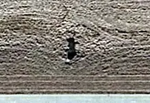 000xxx.webp