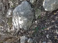 20190330_130753.webp