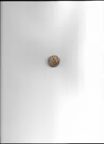 Image.webp