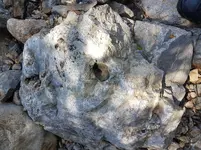 20190330_130640.webp