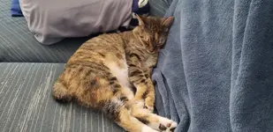 20190502_075738.webp