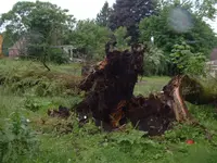 DSCF0016.webp