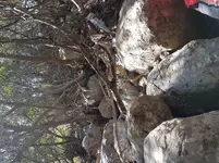 20190330_125900.webp