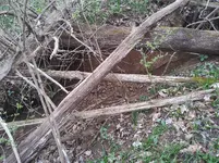 20190330_132103.webp