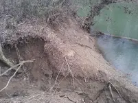 20190330_125116.webp
