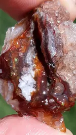 20190407_095550.webp