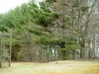 DSCF0007.webp