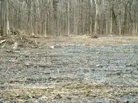 DSCF0012.webp