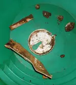 DSCF0021.webp