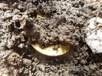 DSCN3517.webp