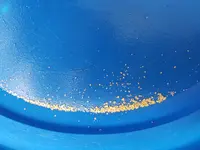 20180804_162427_001.webp