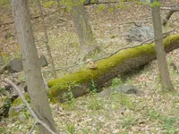 DSCN3918.webp DSCN3918.webp