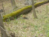 DSCN3921.webp DSCN3921.webp
