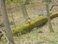 DSCN3923.webp