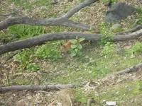 DSCN3925.webp DSCN3925.webp