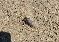 20190330_163154.webp