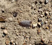 20190330_164706.webp