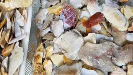 20190502_145145.webp