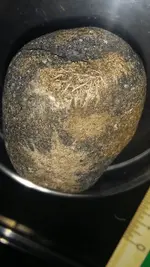 Screenshot_2019-05-12-19-15-56.webp