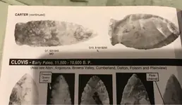 ImageUploadedByTreasureNet.com1557704222.157414.webp ImageUploadedByTreasureNet.com1557704222.157414.webp