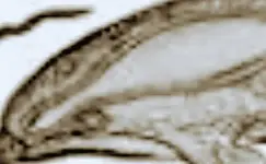 Screenshot_2019-04-07-18-19-34~2.webp