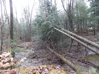 DSCN0560.webp