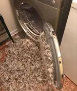 7N5yvVeZ_2019507044212.webp