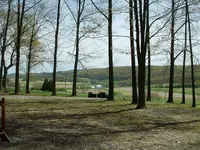 0012.webp
