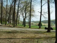 0013.webp 0013.webp
