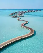 SSUSyBa0_2019523060957.webp