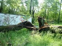 DSCF0014.webp