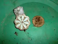 DSCF0021.webp