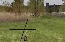 RFdetAuAgDwseLine5-12-19.webp RFdetAuAgDwseLine5-12-19.webp