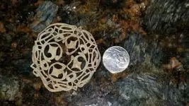 20190416_192744.webp