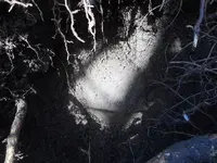 DSCN3255.webp