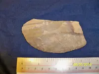 100_0623.webp