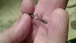 Whatzit in Hand.webp