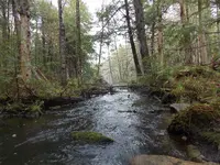 DSCN0682.webp