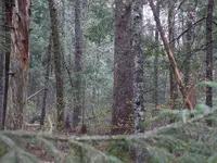 DSCN0683.webp
