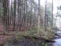 DSCN0684.webp