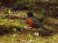 DSCN2539.webp