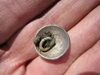 Finds 6-9-19 007.webp
