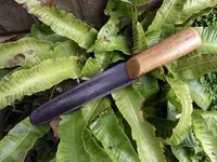 fern trowel.webp