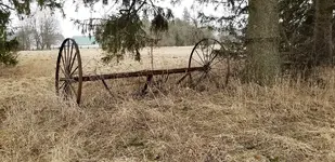 20190406_151235.webp