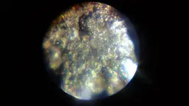 gold under microscope.webp