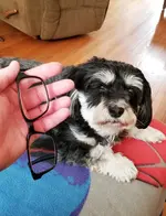 20190407_110441.webp