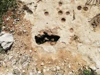 IMG-20190412-WA0006.webp