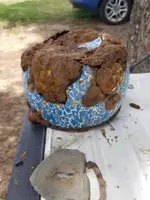 20190609_122714.webp 20190609_122714.webp