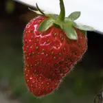 DSCN2630.webp