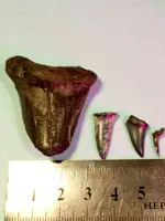 P90408-133449(1).webp